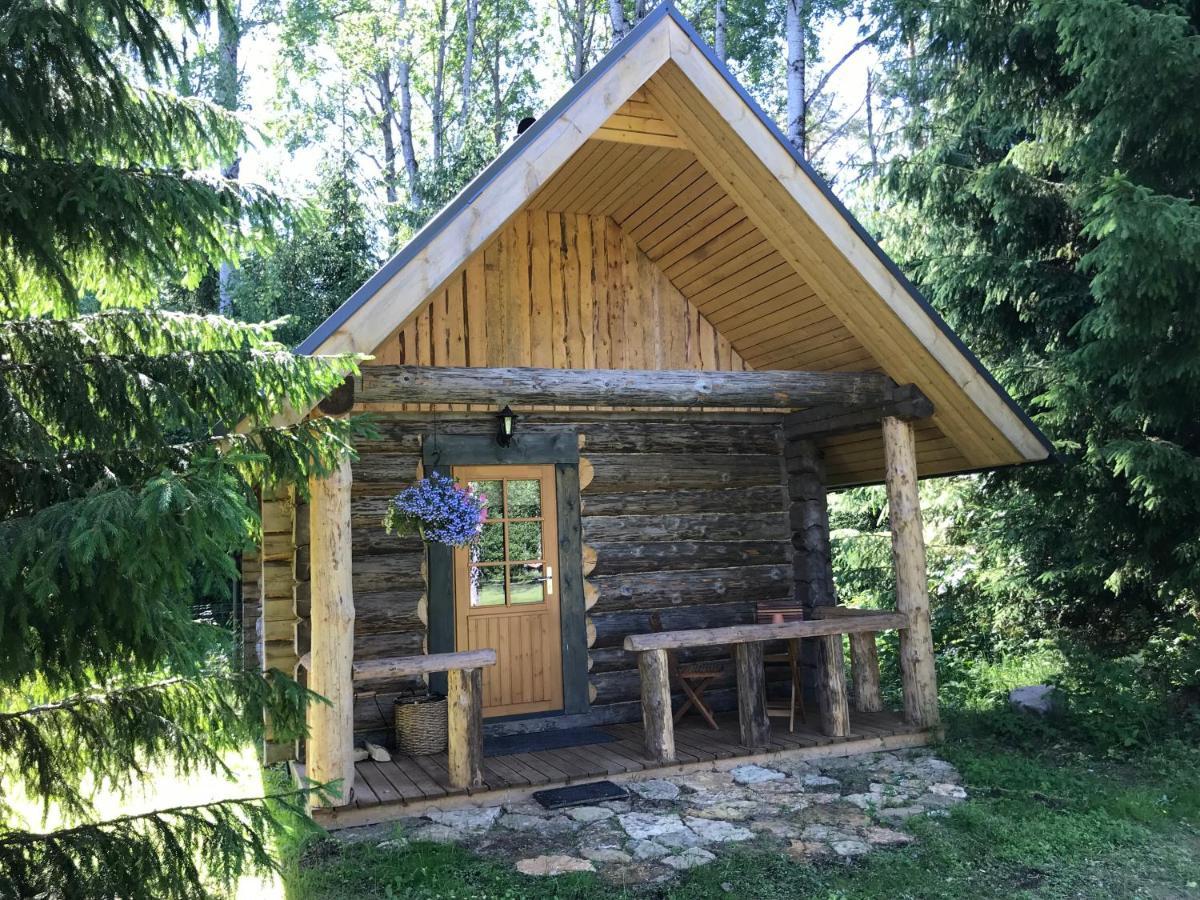 Lodge Haaviku Nature *