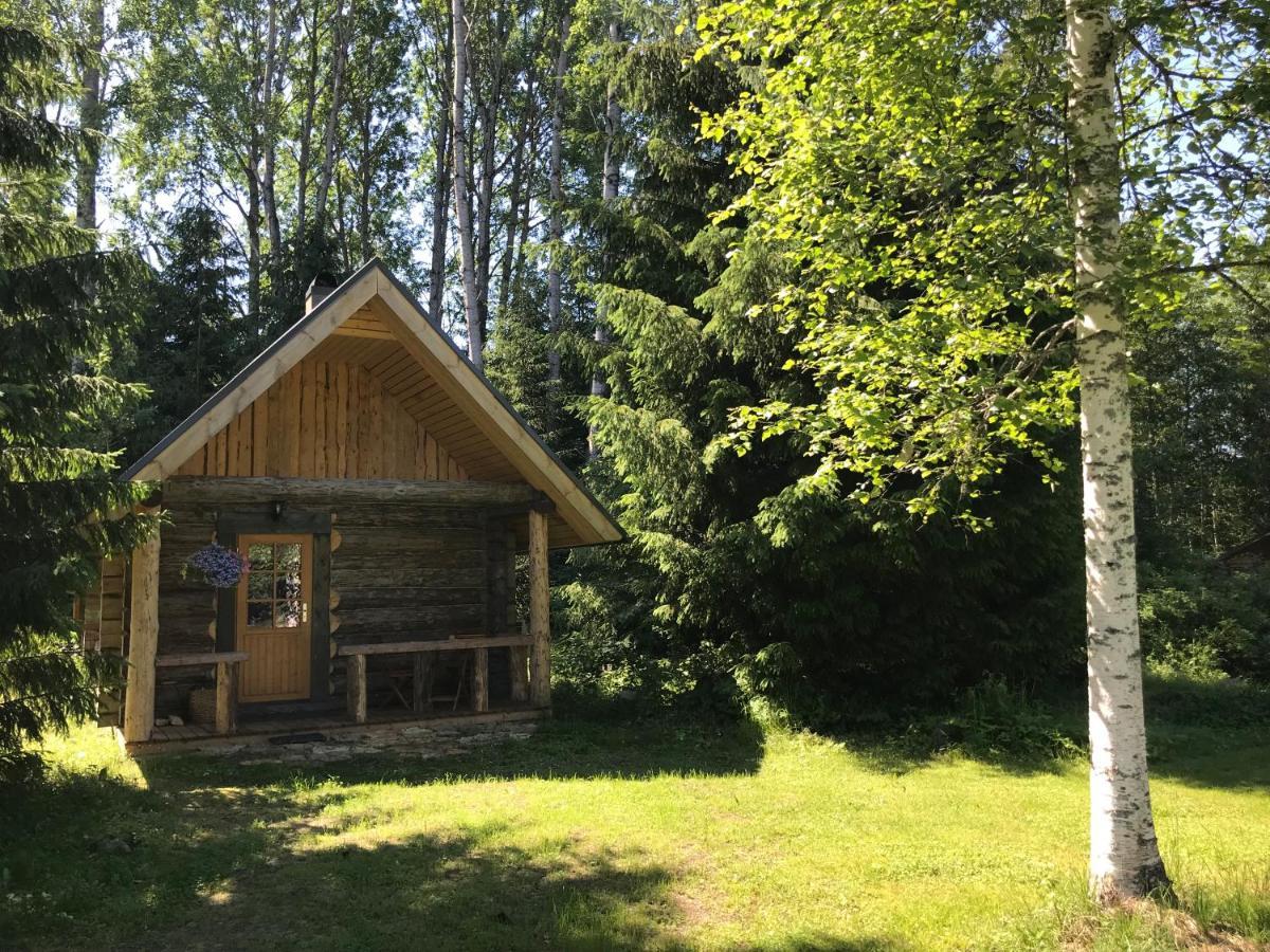 Haaviku Nature * Tepelvalja