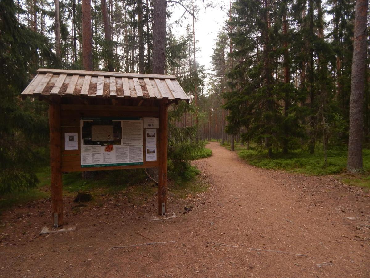 Lodge Haaviku Nature Tepelvalja