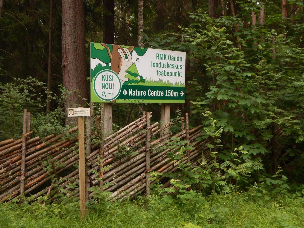 Haaviku Nature Lodge