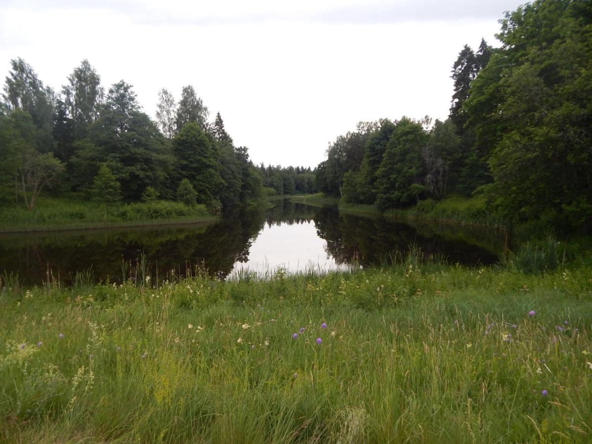 Haaviku Nature *