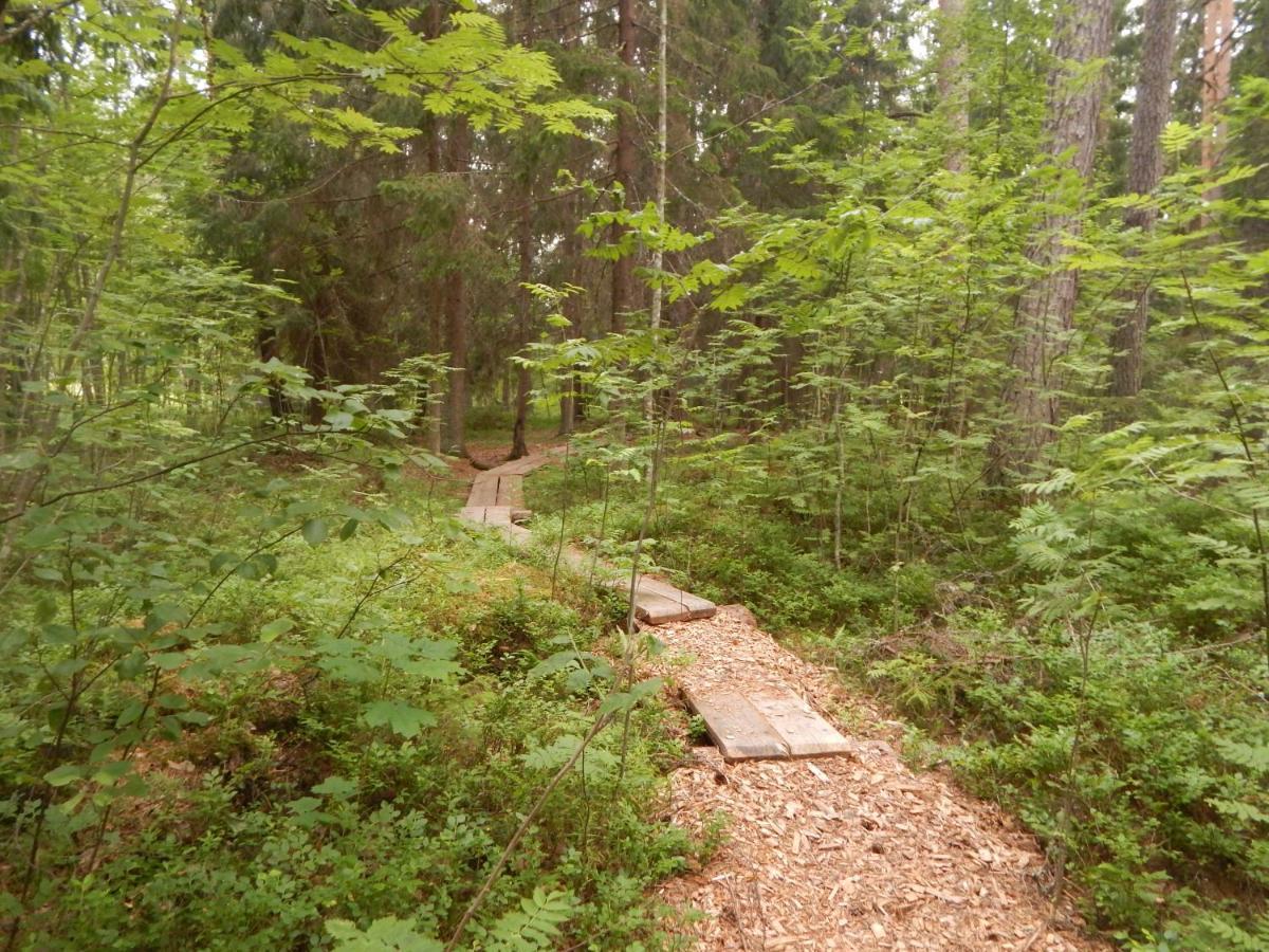 Haaviku Nature * Tepelvalja