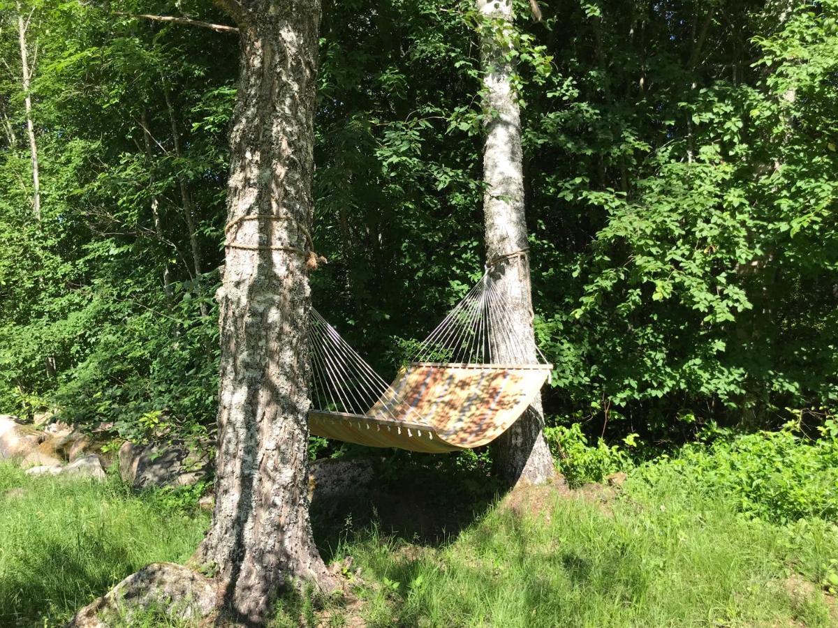 Lodge Haaviku Nature Tepelvalja